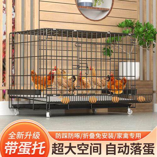 旧货市场鸡笼子家用室内室外下蛋养鸡窝鸡舍鸭笼折叠养殖笼蛋托笼