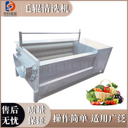 中科德晟中药材海产品根茎类蔬菜去泥沙去皮清洗机毛辊清洗机