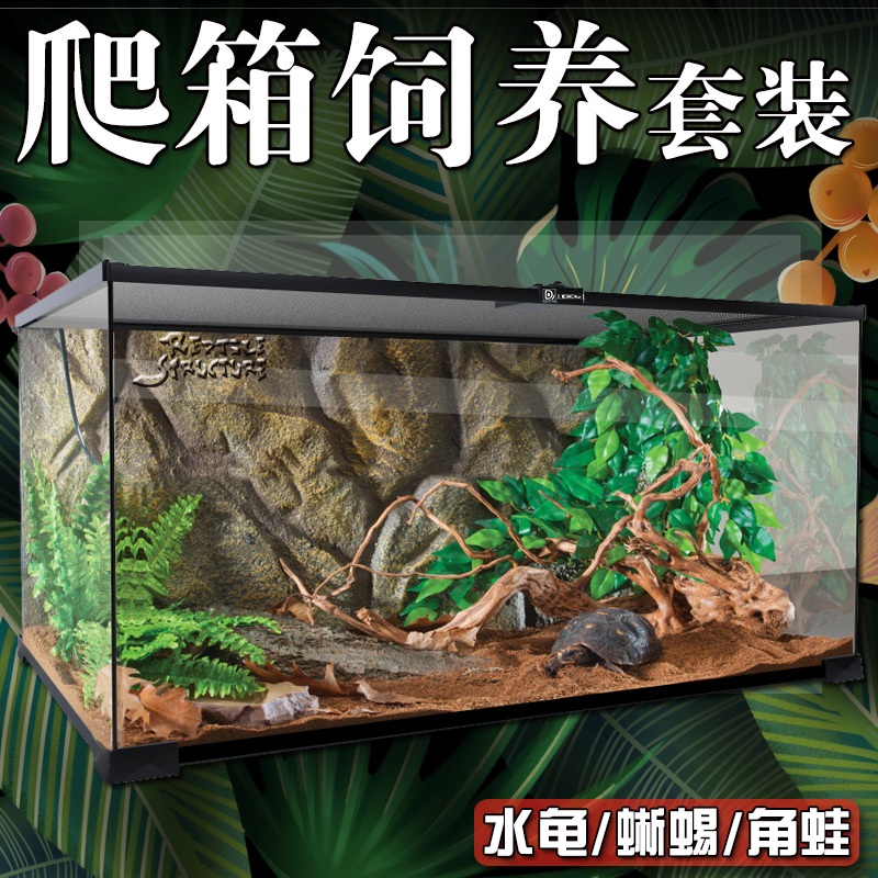 角蛙饲养箱套餐全景玻璃缸爬箱爬宠守宫套装寄居蟹睫角蛇蜘蛛蝎子