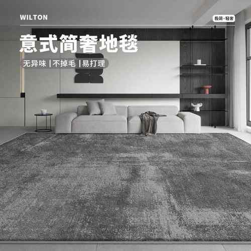 地毯客厅轻奢高级感新款极简沙发茶几欧式卧室免打理可擦家用地垫