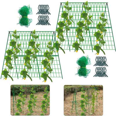 Metal Garden Trellis 园艺支柱包塑钢管植物支架爬藤花架爬藤架