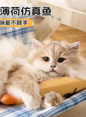 猫具猫薄荷猫SJH咪具逗猫麻玩布鱼自嗨解闷含猫猫薄玩荷玩具宠物