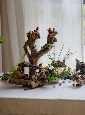 天然原木树根摆件枯木根雕手工艺术装饰品禅意插花微景观造景摆设