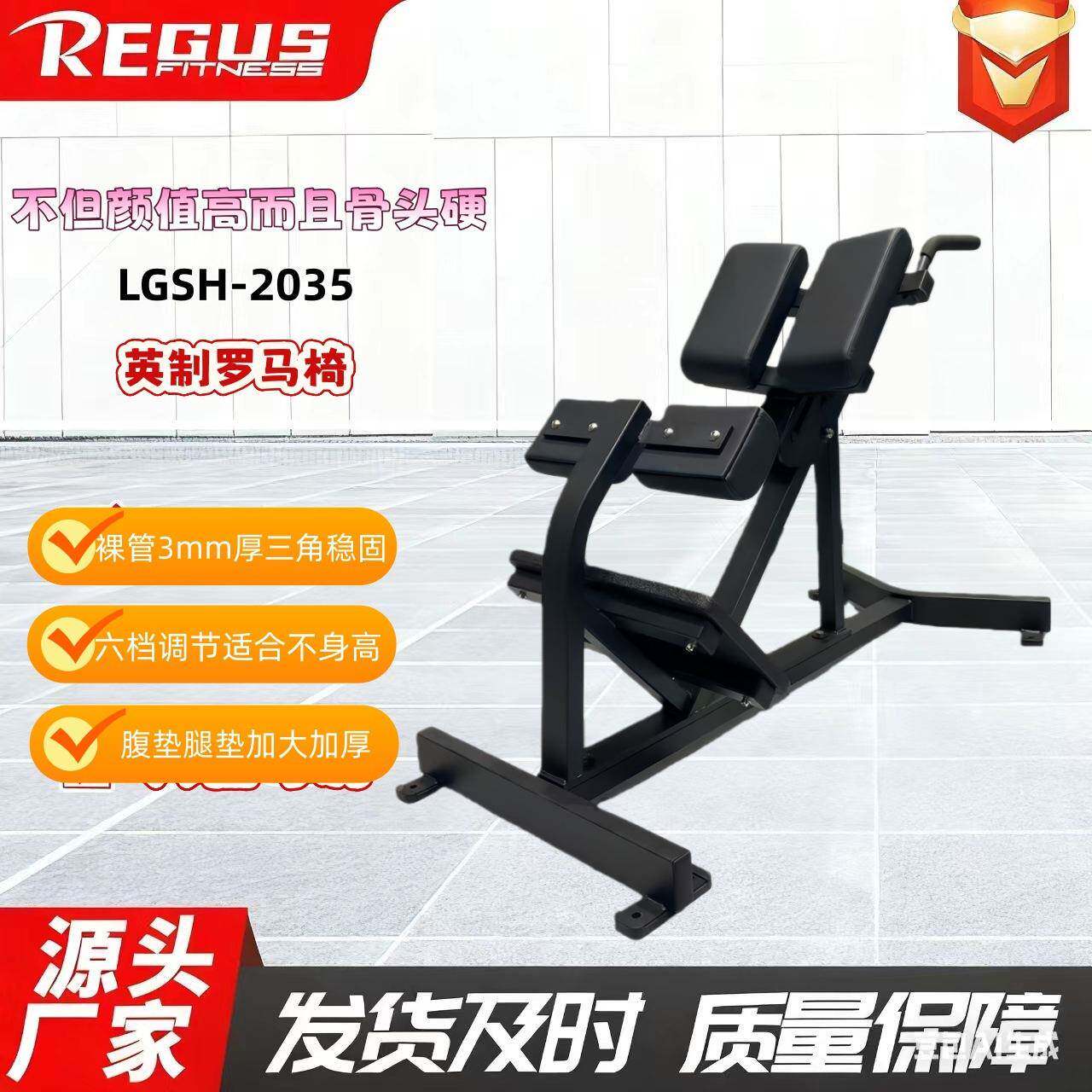 山羊挺训练器腹腰部段练设备靠垫哑铃凳现货六档可调商用罗马椅