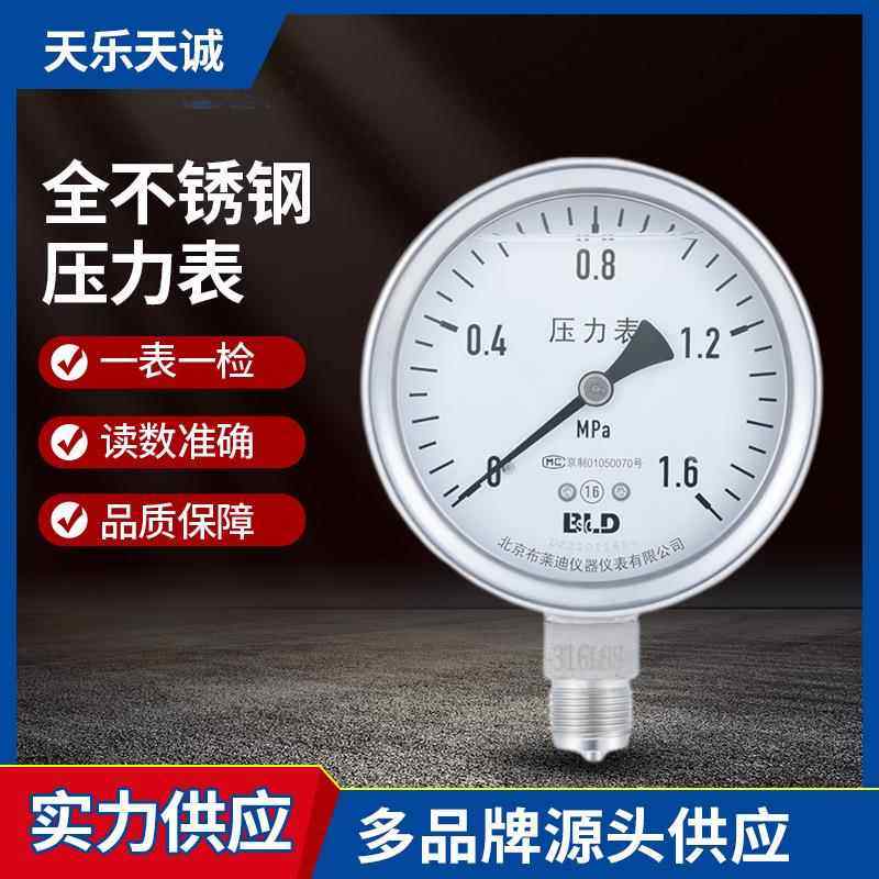 全不锈钢耐震压力表YTHN-100 0～4MPa 1.6级 3/8BSP 径向无边