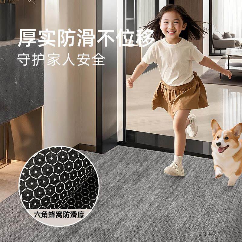 简约轻奢入户门地垫地毯进门玄关门外地垫入户蹭土门垫脚垫可裁剪