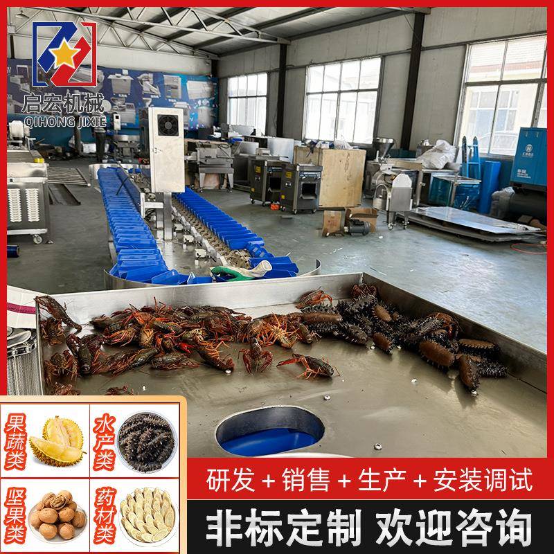 全自动分拣称生蚝分拣机水产品海参鲍鱼食品重量分选机厂家