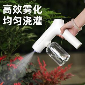 浇电动家超细润云境细雾化喷壶用化花小型纳米雾喷头办公室消毒专