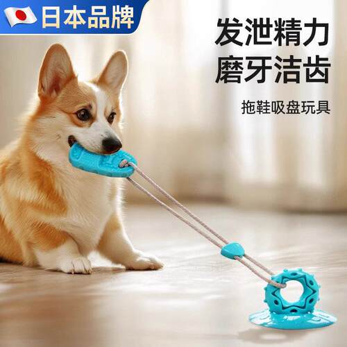 狗狗玩具吸盘耐咬磨牙解闷自嗨边境牧羊犬消耗体力小狗玩具宠物用