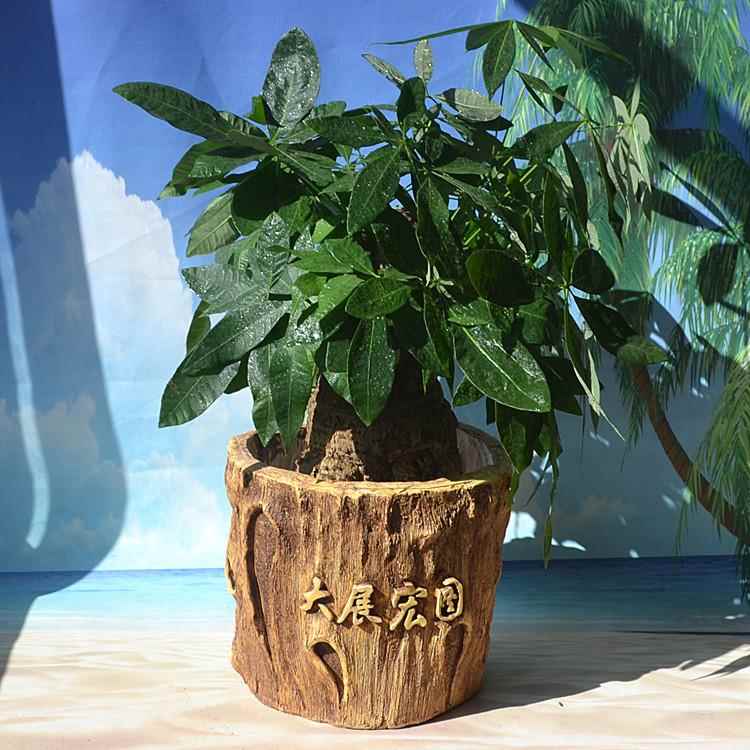 创意合成树脂大号花盆木头树根木桩多肉花盆绿植生意兴隆大展宏图