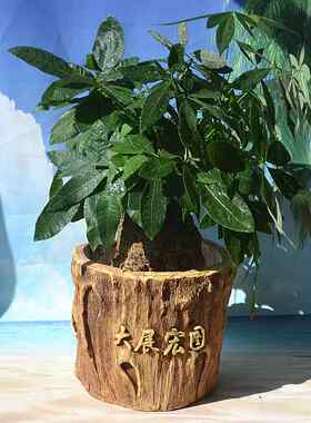 创意合成树脂大号花盆木头树根木桩多肉花盆绿植生意兴隆大展宏图