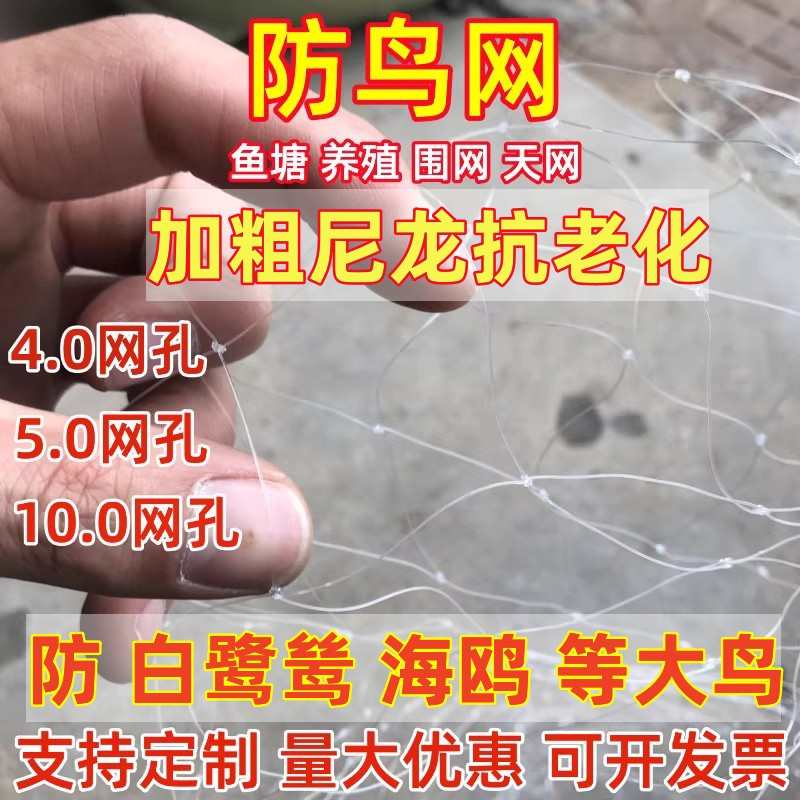 鱼塘防鸟网4厘米 5厘米网眼10公分 网孔池塘泥鳅青蛙龙虾养殖天网
