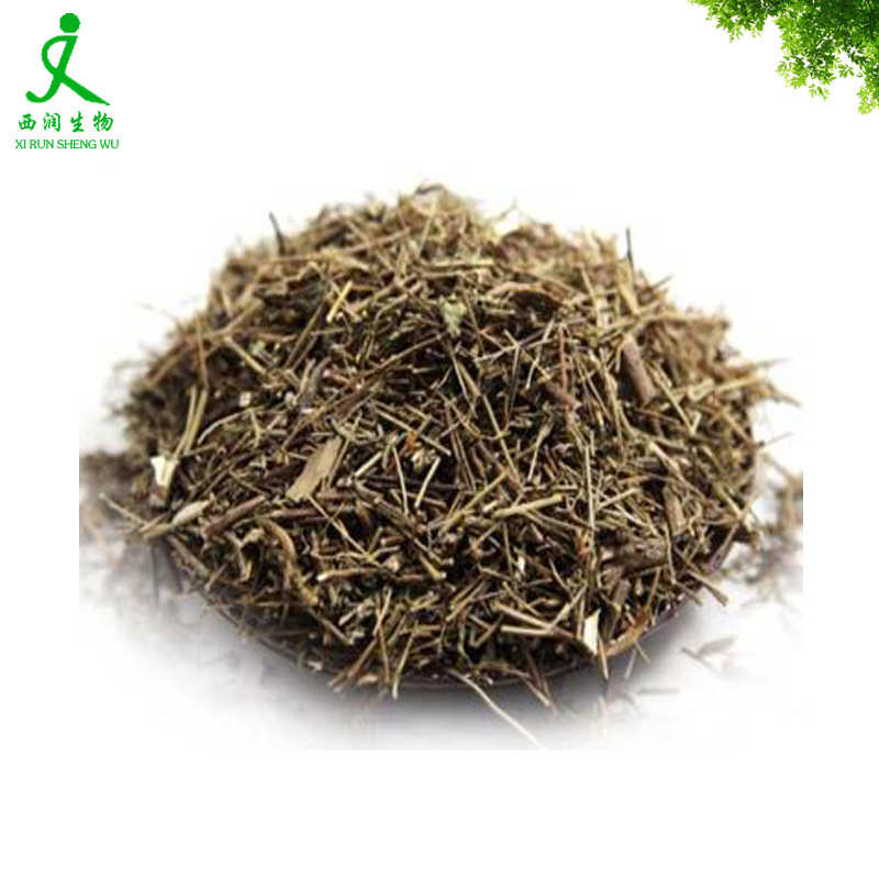 香薷提取物50:1高比例高含量浓缩粉香草提取物植物萃取SC工厂现货