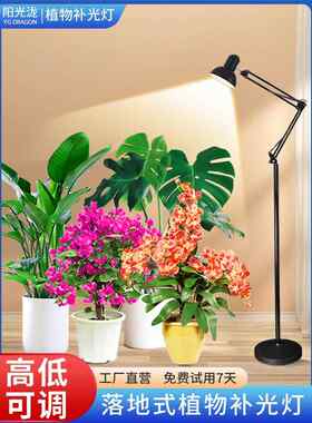 全光谱彷太阳光植物多肉补光灯兰花卉发财树室内绿热植专用生长灯