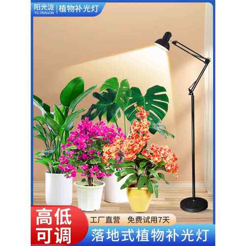 落地式植物补光灯全光谱绿植龟背竹发财树吊兰花卉生长灯彷太阳光