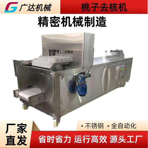 轨道式桃子去核机桃子挖核机厂家直发商用不锈钢水果脱核机