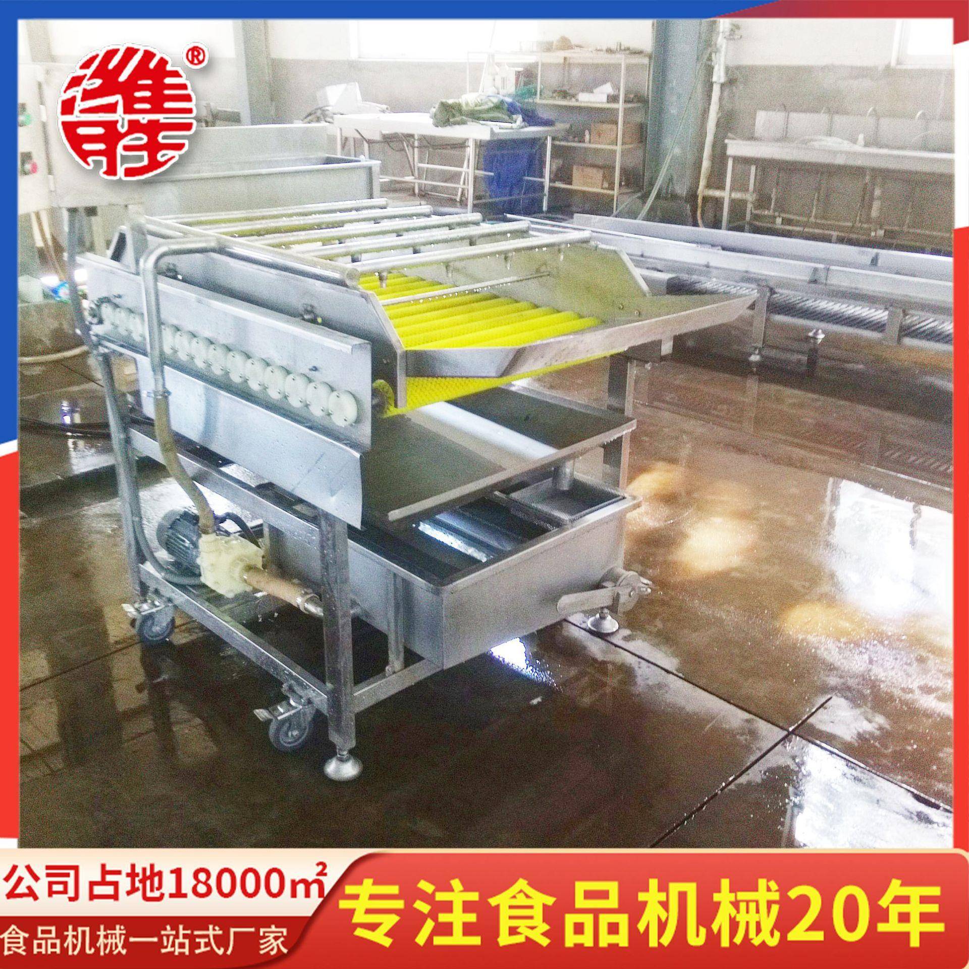 商用大型喷淋式清洗机设备蔬菜清洗机自动化小白菜清洗机设备
