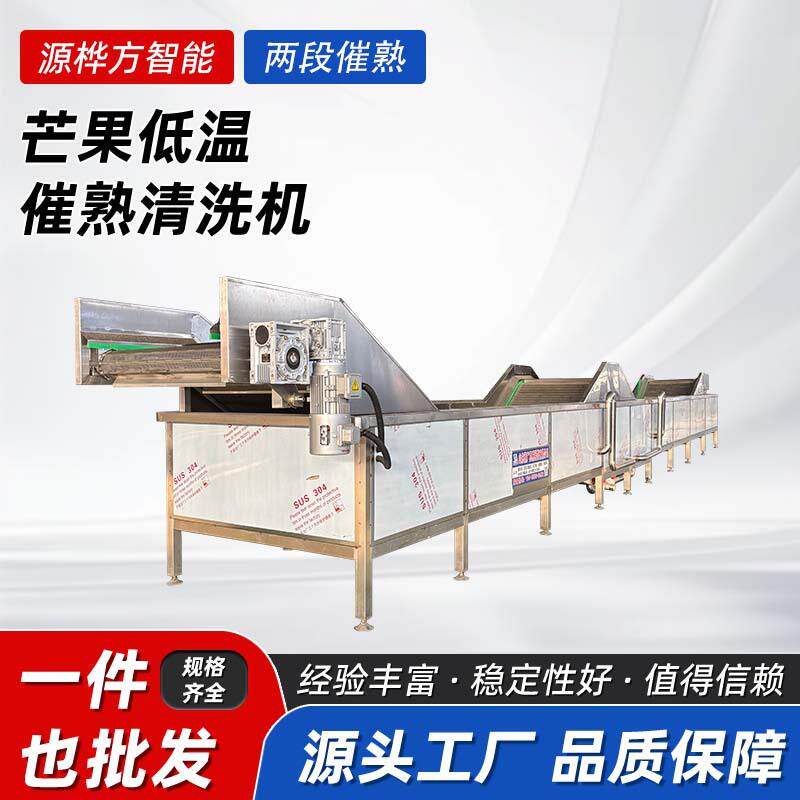 果蔬低温催熟清洗设备香蕉苹果低温催熟设备自动番石榴催熟机械