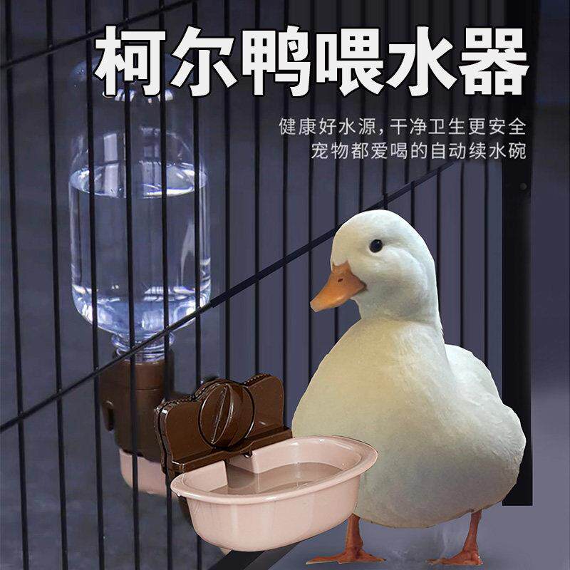 鸭子悬挂饮水器柯尔鸭喝水器挂式自动饮水机水壶笼子小宠喂水喂食