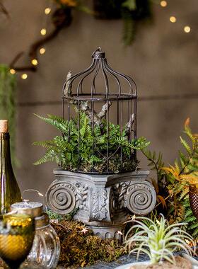 掬涵铁艺鸟笼花艺花器彷真植物微景观蕨叶绿植装饰品陈列摆件挂饰