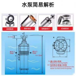 广东凌林QD潜霄水泵农灌业溉泵园喷洒提水泵抽水泵泵全自PHI动自