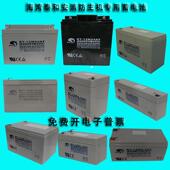 北大青鸟海湾泰和安消防主机气体主机柜应急照明集中电源蓄电池