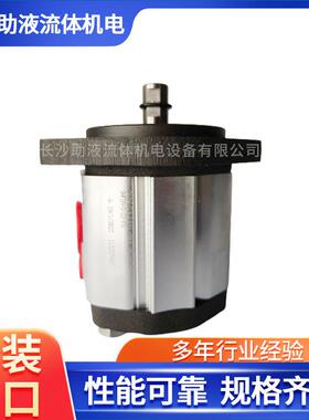 马祖奇液压系统高压泵GHP2A-D-22-FG试验机齿轮泵机械液