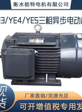 160千瓦三相异步电动机380V电机F级YE3YE4YE5机械用水泵风机专票