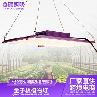 LED植物灯板跨境植物补光灯量子板室内种菜绿植花卉果蔬growlight