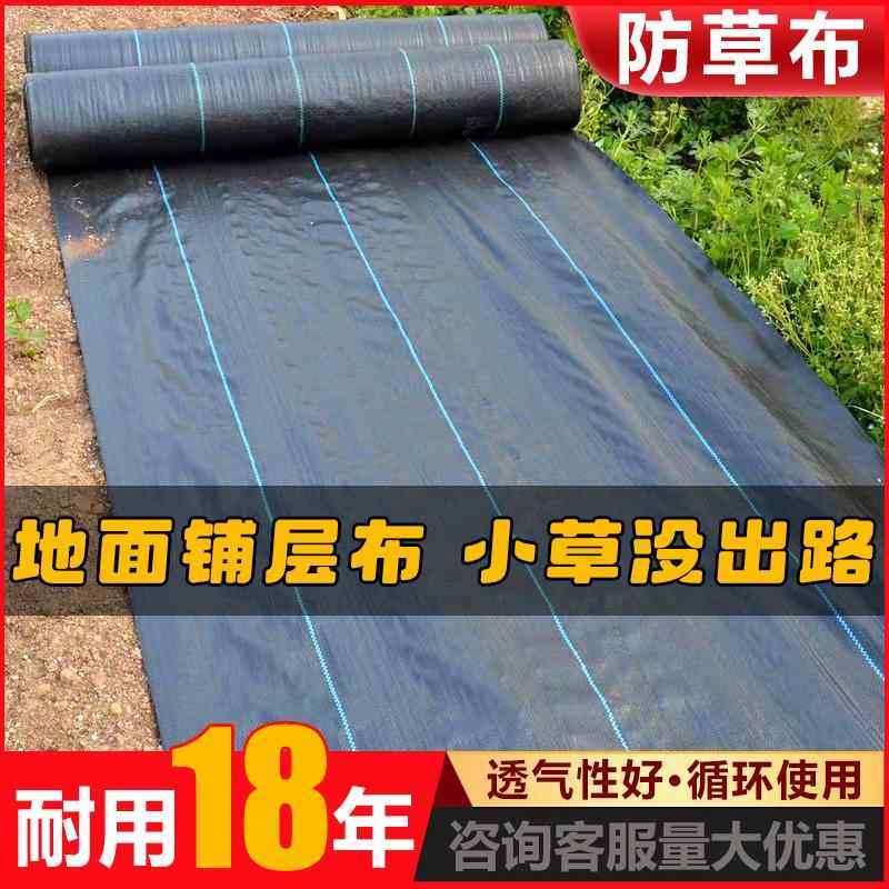 防草布除草布耐用农用薄膜透气渗水生态果树园遮草布抑草黑色,农机/农具/农膜,农用防草地布/除草布,淘宝优惠券,粉丝福利购,淘宝优惠卷