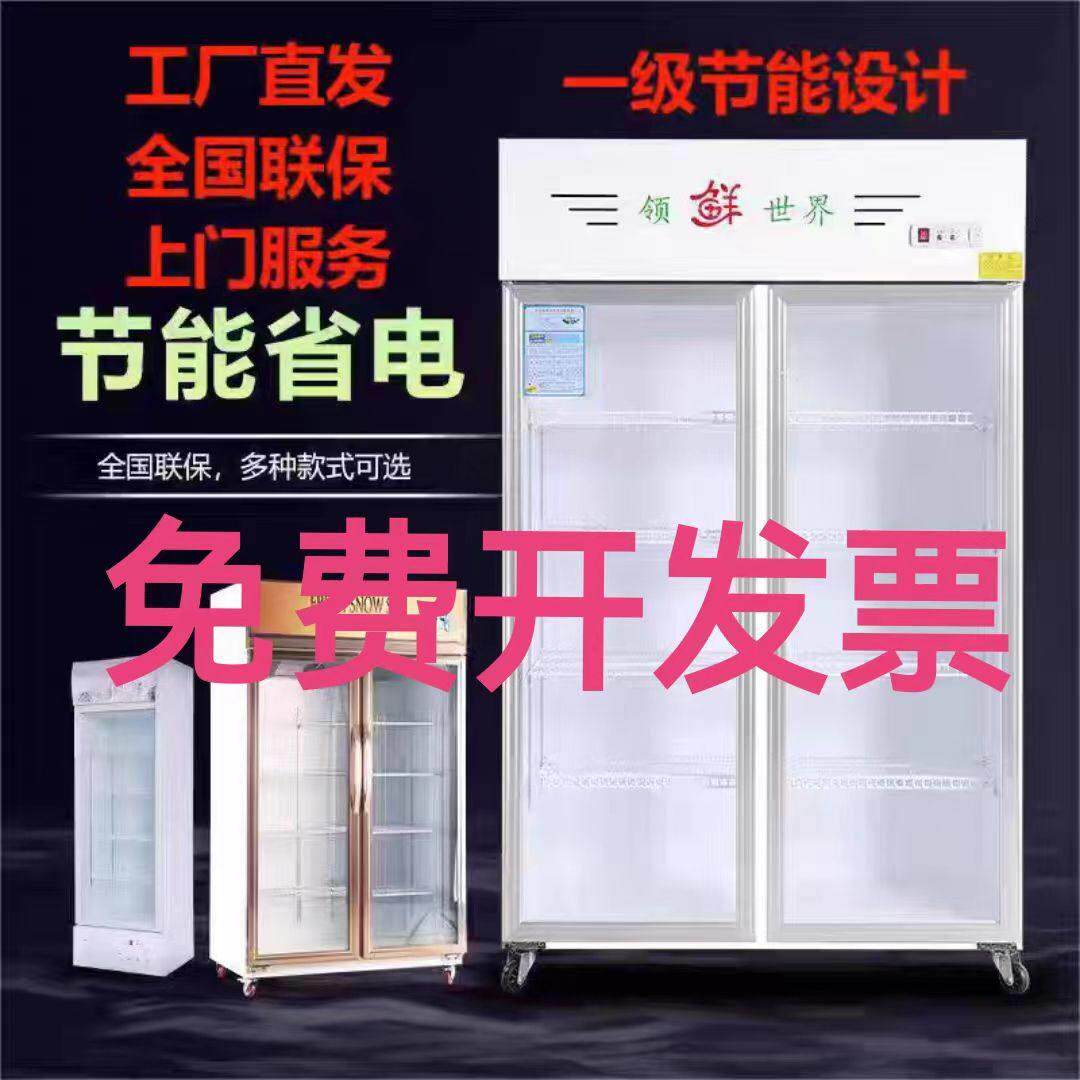 冷藏柜 展示柜 保鲜柜 立式双门铜管商用饮料冷饮蔬菜水果柜冰柜