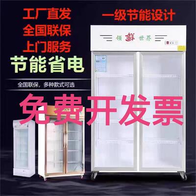 冷藏柜 展示柜 保鲜柜 立式双门铜管商用饮料冷饮蔬菜水果柜冰柜