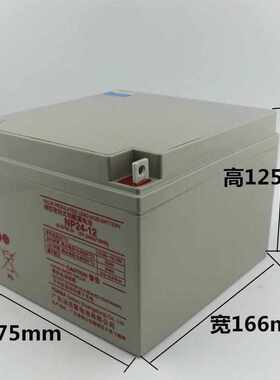 汤浅蓄电池12V100AH免维护NP100-12V24AH38AH65AH120AH机房直流屏