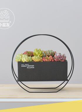 现代时尚创意铁艺桌面小盆栽多肉植物陶盆长方形花盆套装工厂