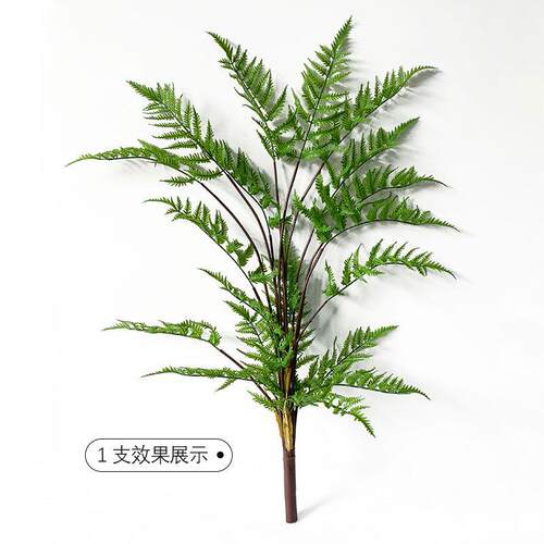 厂家大型仿真绿植盆栽客厅室内装饰仿真蕨类植物北欧装饰