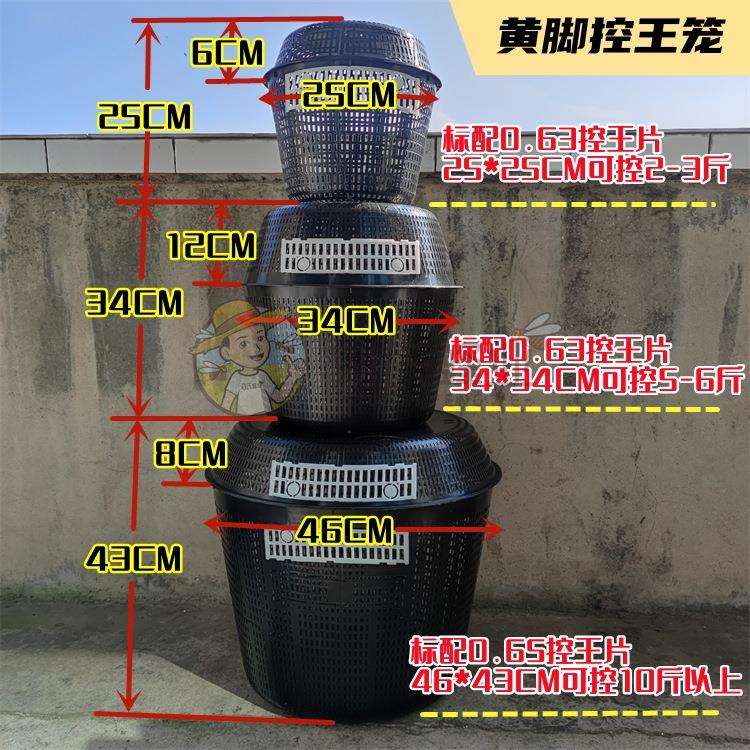 葫芦蜂控王笼黄脚防天敌防逃笼马蜂胡蜂野化放养定点养殖控王笼 - 实物图