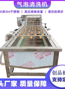 源头厂家生产果蔬气泡清洗机牛油果橙子清洗机荷兰豆清洗机