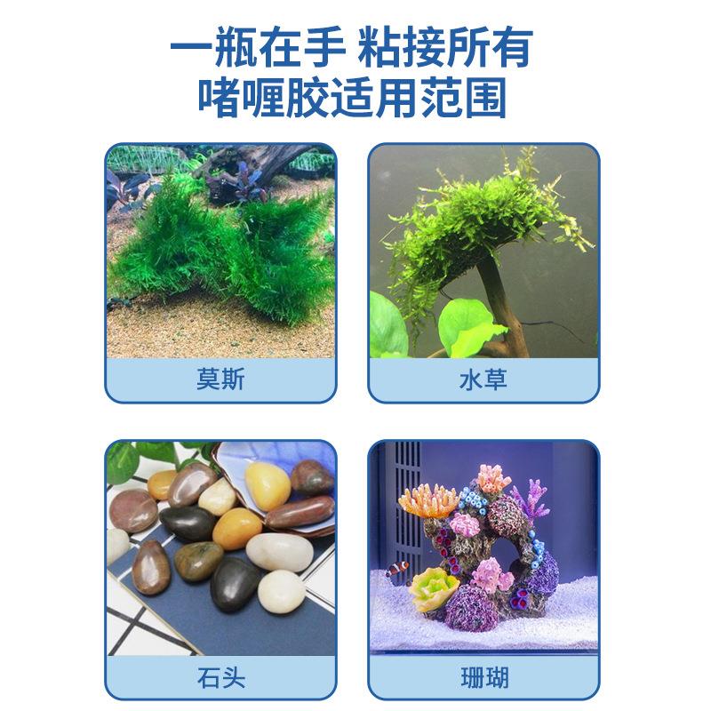 国象水族造景用莫操斯专胶速 粘沉木珊瑚石头胶水草胶可水下作干8