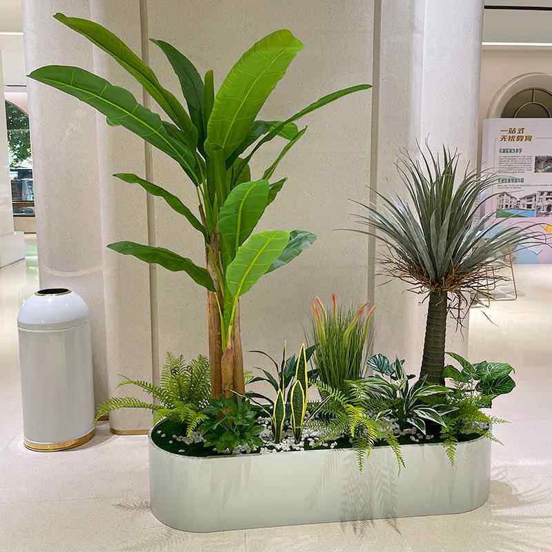 2020wo+天鸟散尾堂葵景观花居花艺橱窗装饰落地箱摆放植物家装扮2