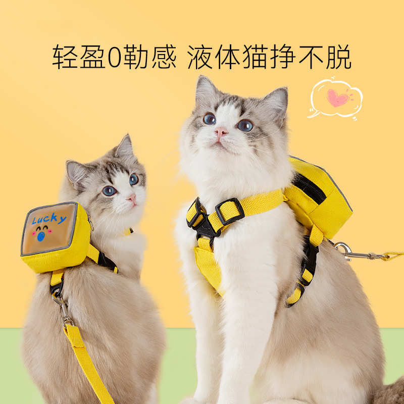 绳子四季外出背包遛猫胸透明猫咪狗狗背带通用透气牵引绳宠物用品