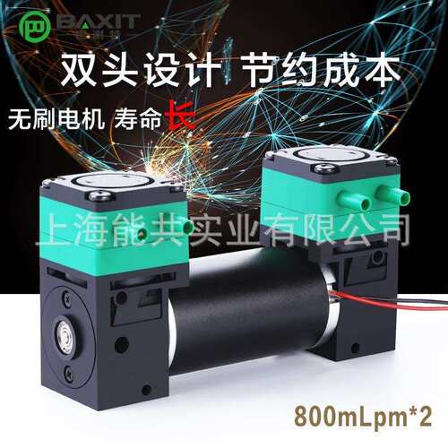 双头隔膜液泵抽水泵小型耐腐蚀微型真空采样泵无油自吸泵L08BL-2