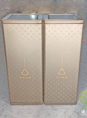 室内电镀黑钛香槟金腐刻筒两连体不锈钢分类垃圾桶果皮箱厂定制