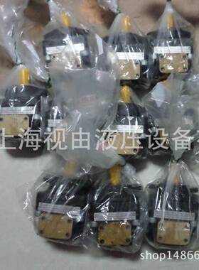 ATOS阿托斯叶片泵油泵PFE-31028/1DTPFE-31028/1DU