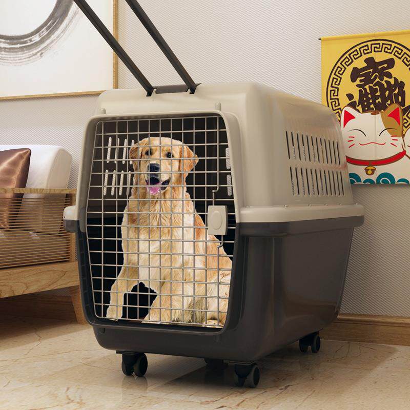 航空箱猫狗猫猫咪宠箱猫笼子外出猫航空箱02箱包小型犬中型托运透