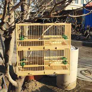 鸟笼精品四格排笼绣眼 玉鸟 黄鸟黄雀 芙蓉 珍珠鸟 贝子笼 包邮