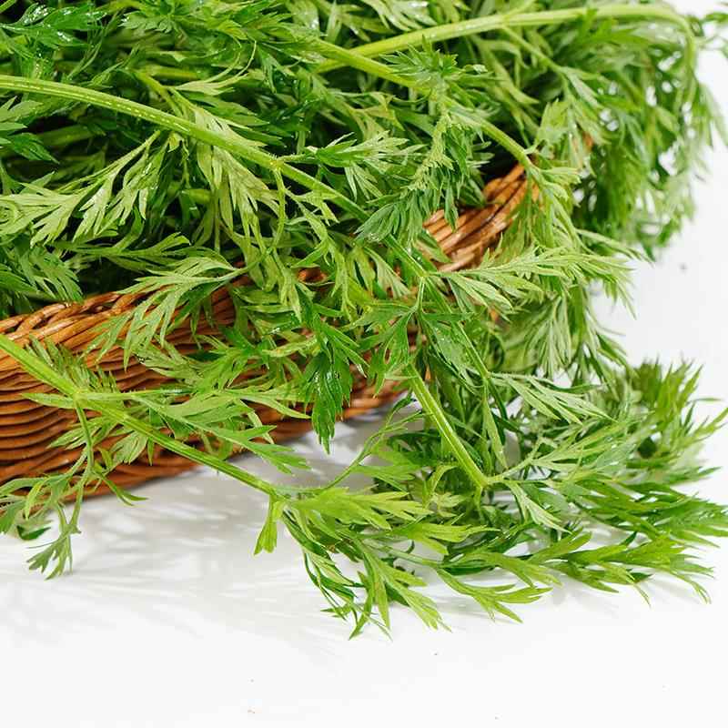 新鲜手指萝卜叶子 胡萝卜叶 烘焙蛋糕餐厅点缀西餐摆盘装饰花草