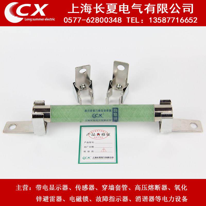 高压熔断器电压互感器XRNP1-10/12KV/0.5A 1A带夹子