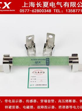 高压熔断器电压互感器XRNP1-10/12KV/0.5A 1A带夹子