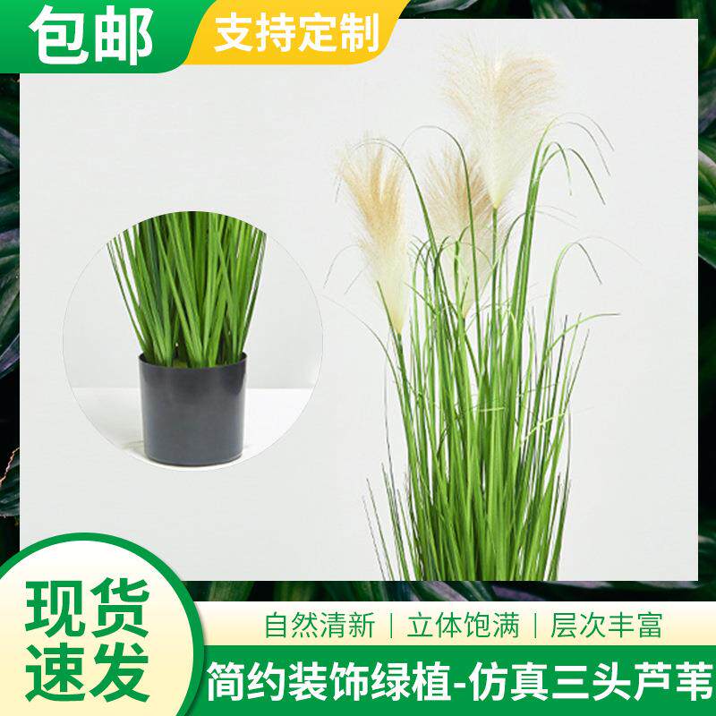 包邮三头仿真芦苇假蒲苇仿真花洋葱草叶仿生绿植植物花卉盆栽