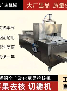 广达苹果挖核机不锈钢苹果去籽机自动化苹果捅芯机切瓣机厂家直销